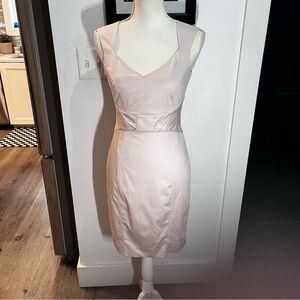 H&M Blush Cap Sleeve Sheath Dress Size 4